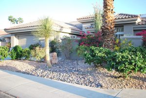 20250427204946556447000000-o