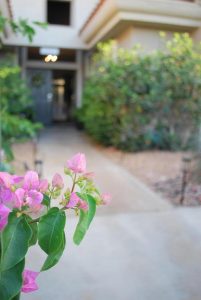 20250427205248300895000000-o